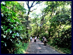 Meji Shrine Garden